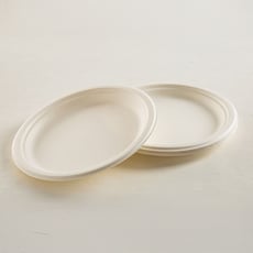 צלחות חד פעמיות גדולות