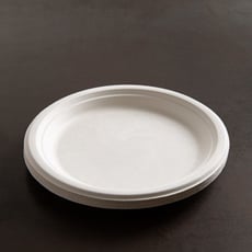 צלחות חד פעמיות גדולות