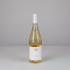 Terra Uma לילה לבן