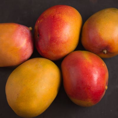 מנגו