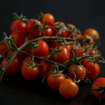 עגבניות שרי