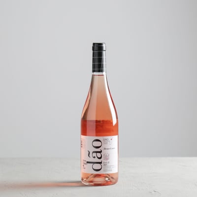 דון אלווארו קסטרו רוזה, דאו