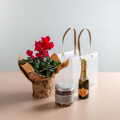 מארז ט"ו בשבט בשקית חגיגית