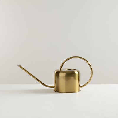 משפך זהוב קטן