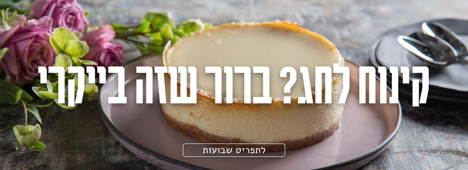 בייקרי לשבועות