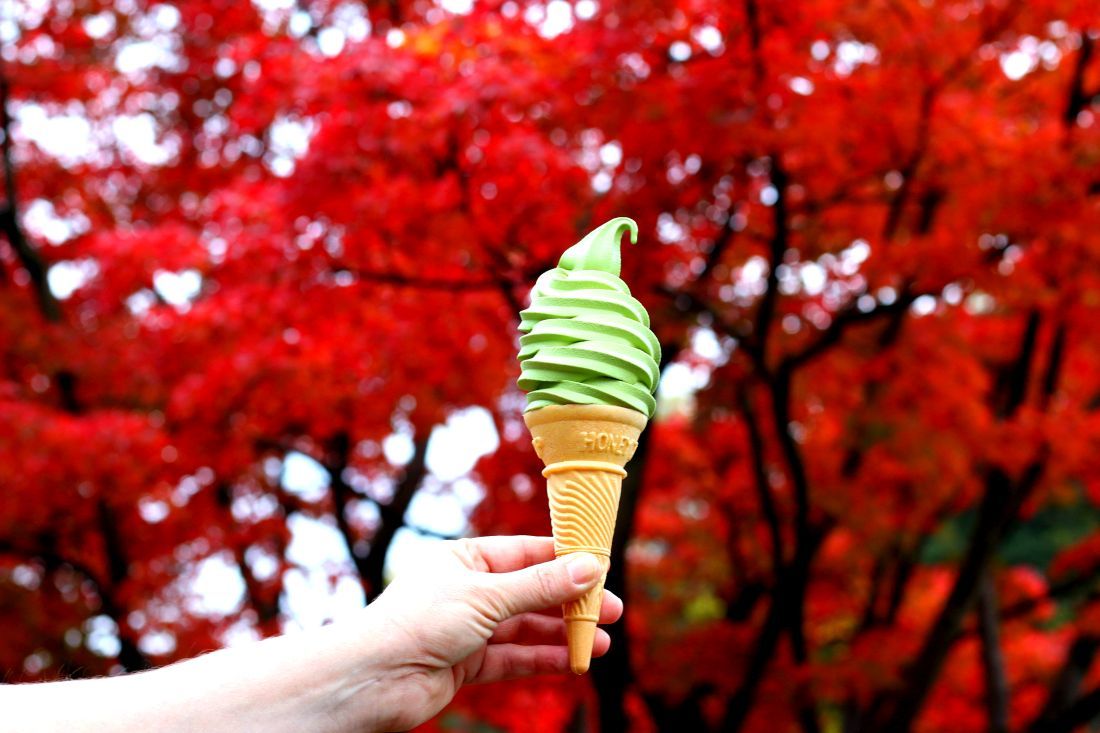 גלידה יפנית עם מאצ'ה (אבקת תה ירוק)