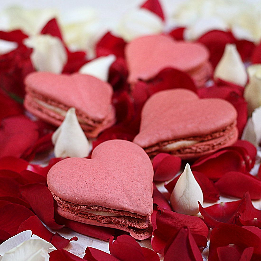 המקרונים של ארמה לוולנטיינס - בצורת לב ובארומת ורדים