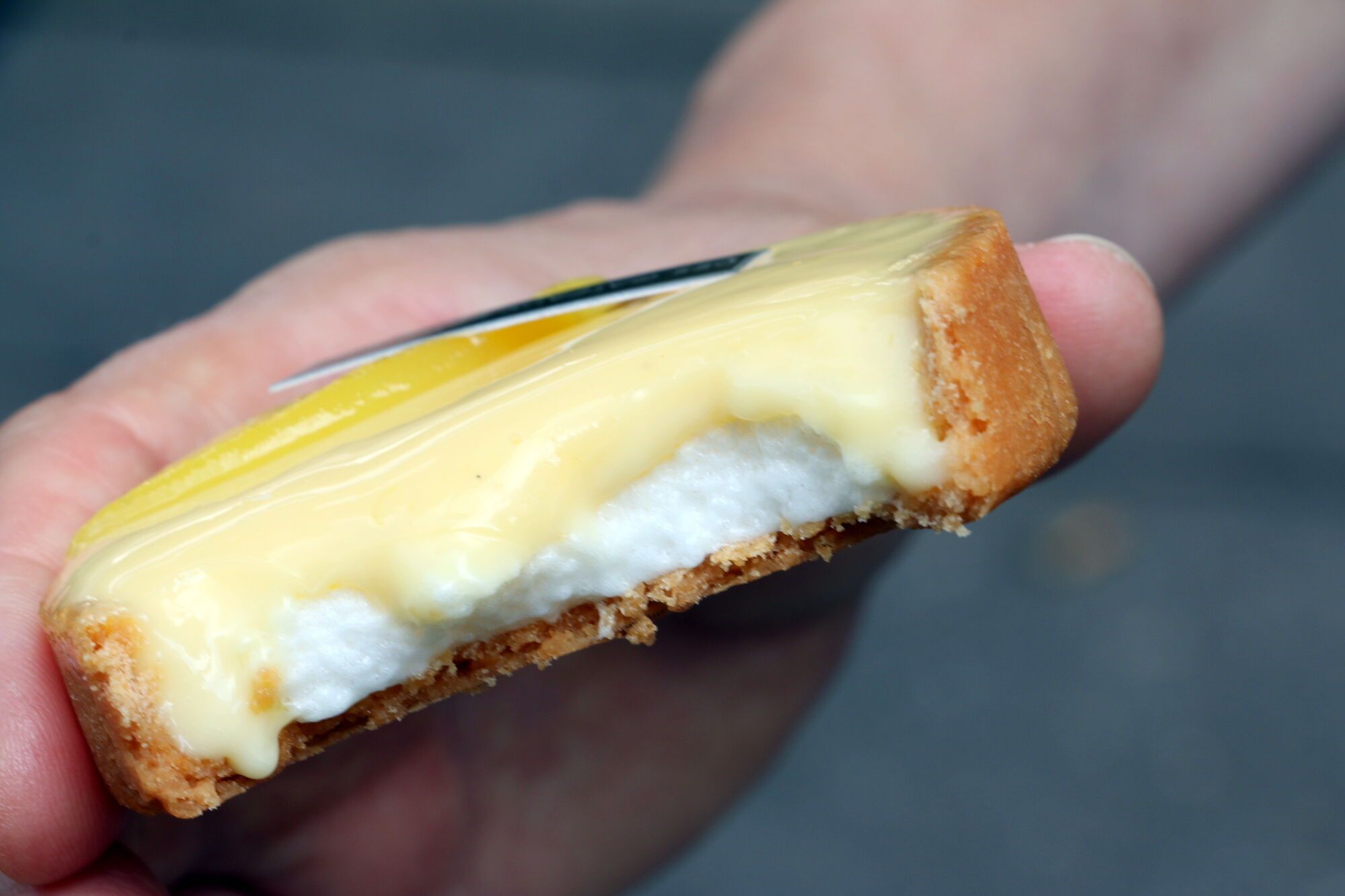 בתוך השרון היינריך - פריז של שרון טארט לימון של קליר דמון