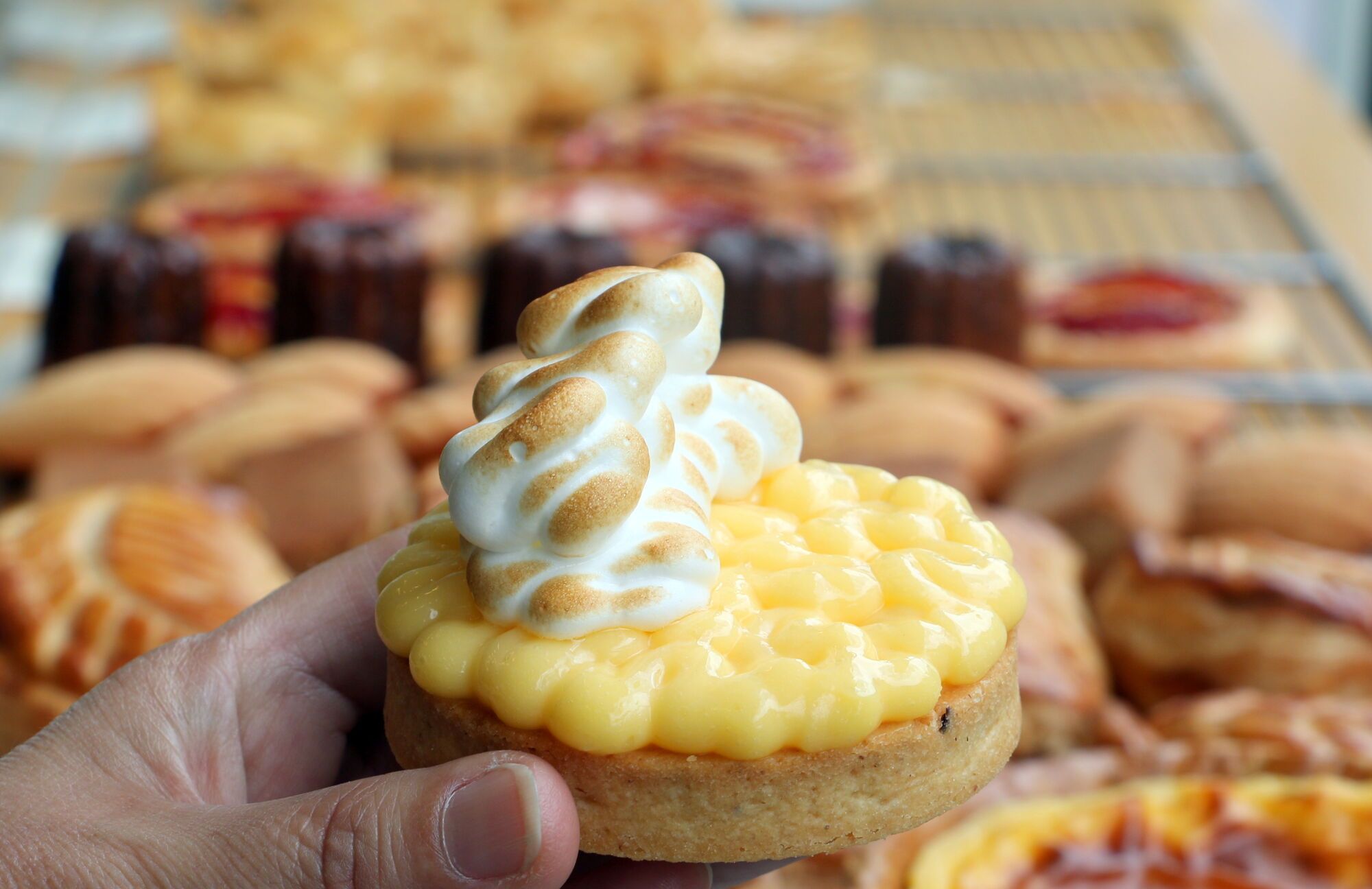 טארט לימון של מורי יושידה. צילום: שרון היינריך