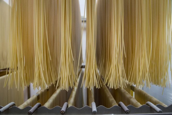 ספגטי תלוי לייבוש במפעל