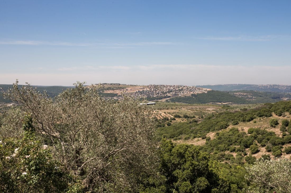 הנוף מהמרפסת של ארז קומורובסקי