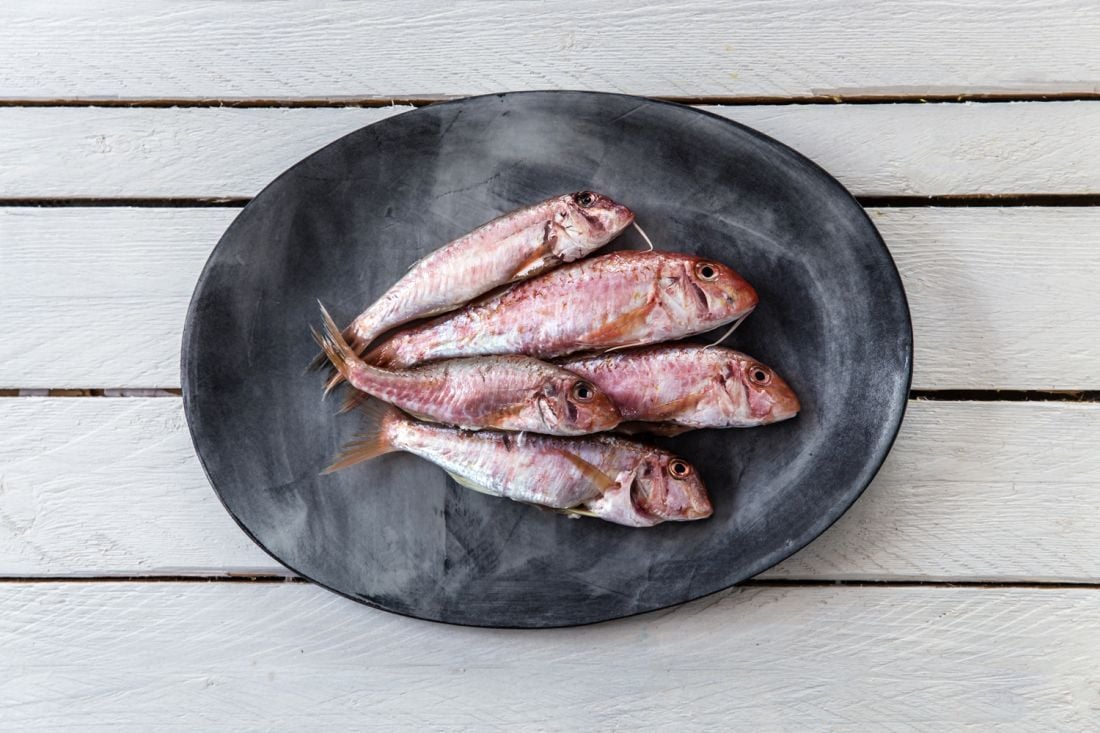 ברבוניות לפריטו מיסטו