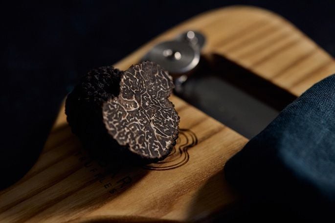 פטריית כמהין שחורה מרמת הגולן