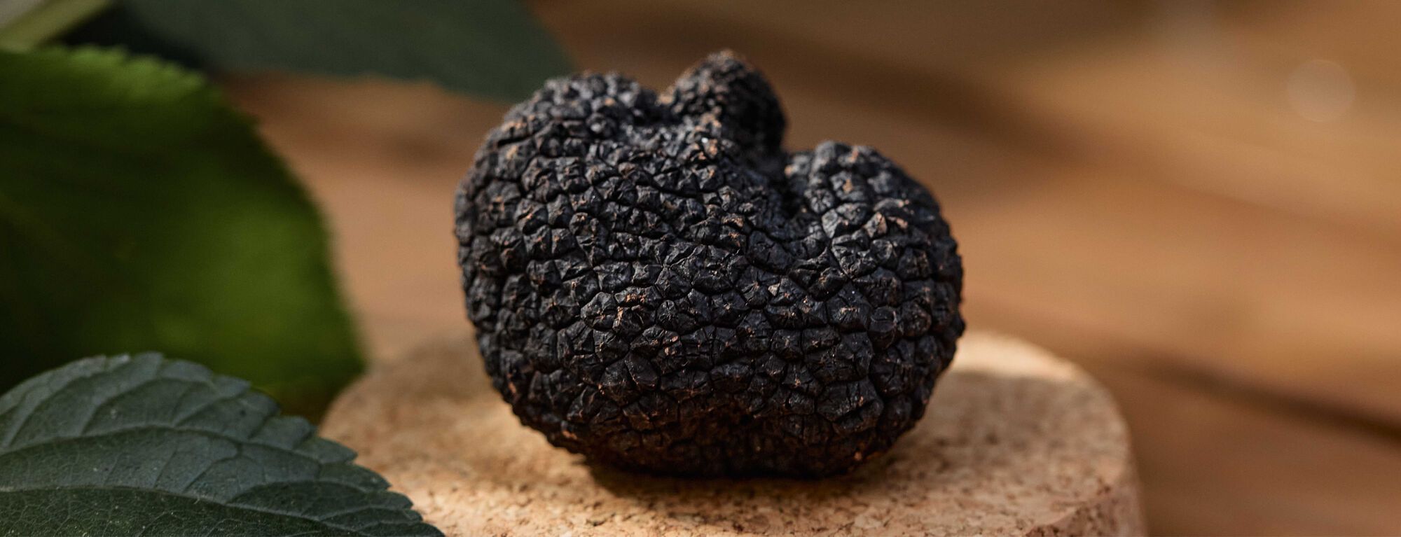 מתכון לפפרדרלה בציר פרמז'ן וכמהין